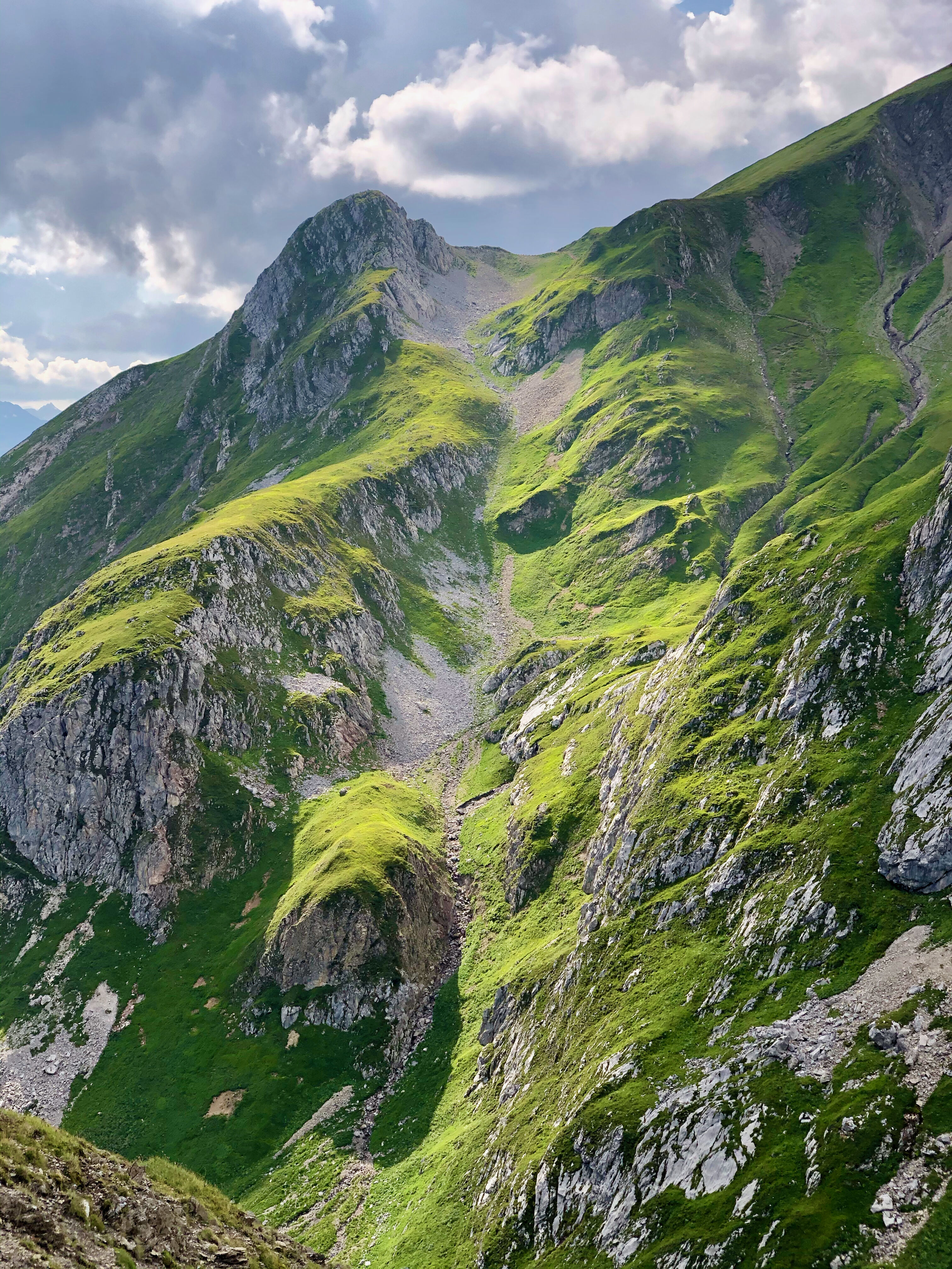 Green alps in sunlight