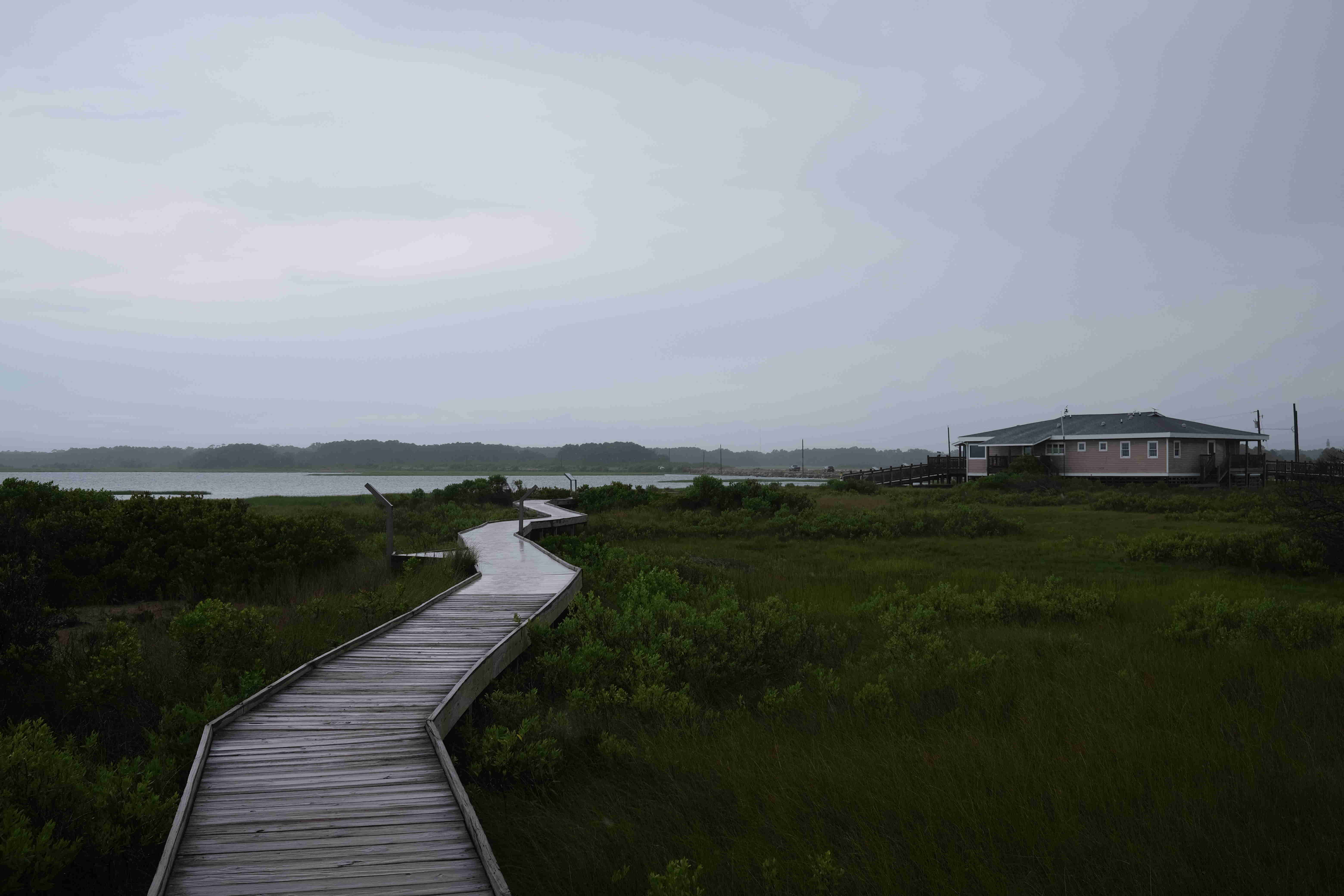 Rainy Chincoteague